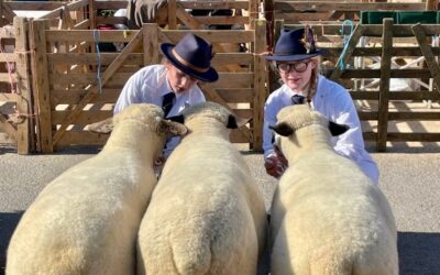 Masham Sheep Fair