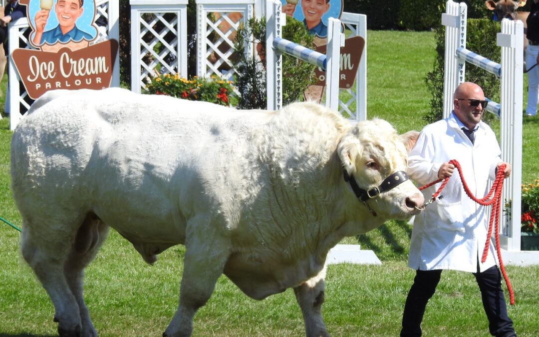 The Great Yorkshire Show – Tuesday 12 – Friday 15 July 2022.