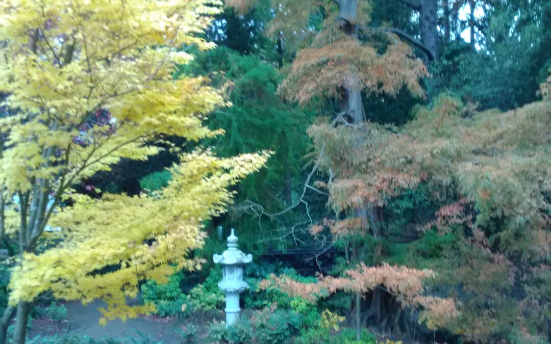 Harrogate’s Delightful Japanese Garden