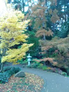 Harrogate Japanese Garden