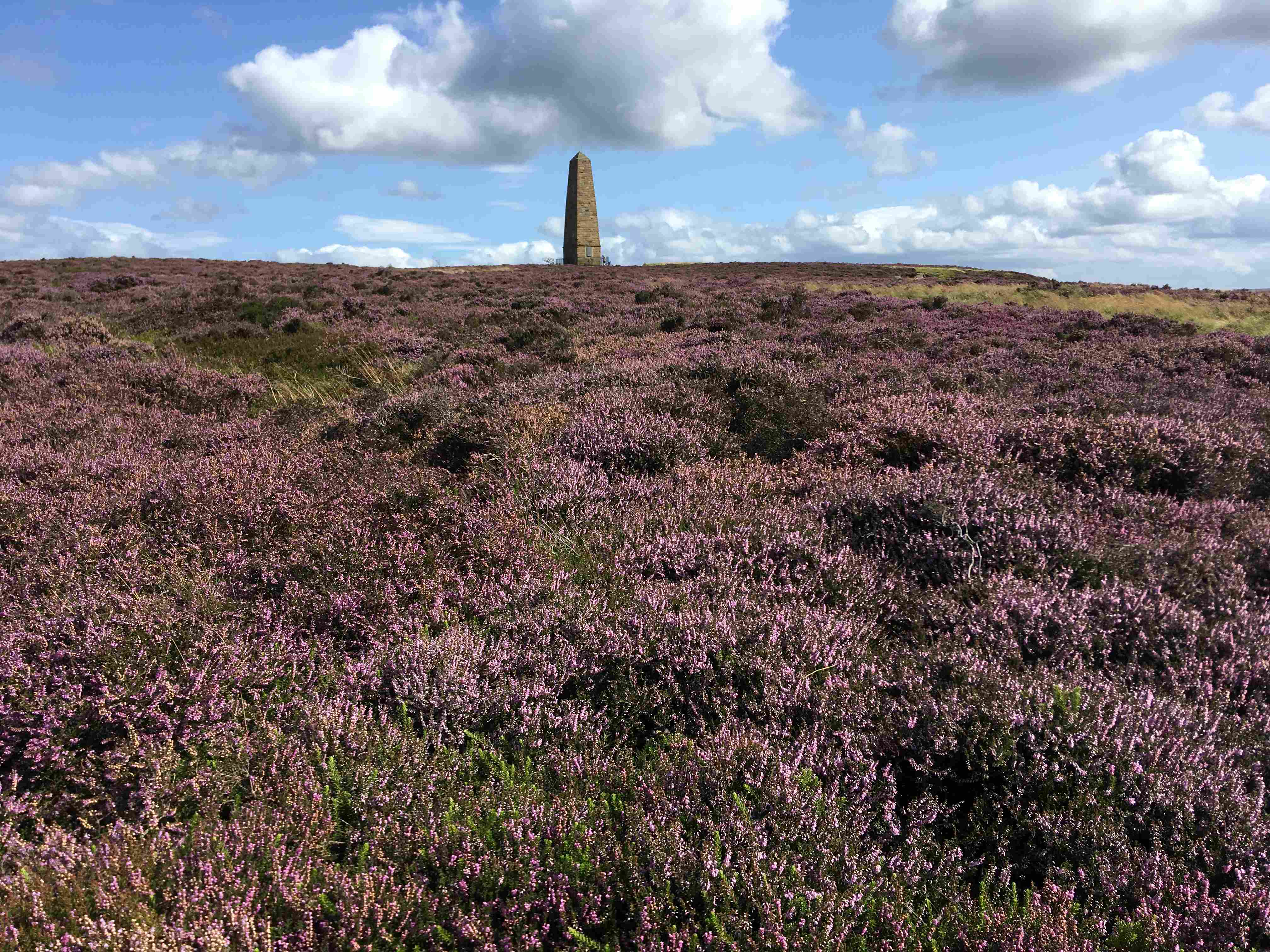 Celebrating 70 years of the North York Moors National Park