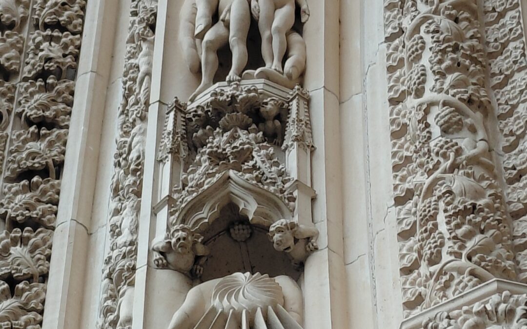 Unusual Photographic Opportunities In and Around York