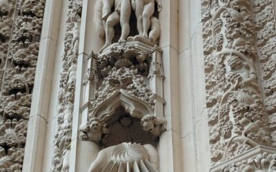 Unusual Photographic Opportunities In and Around York