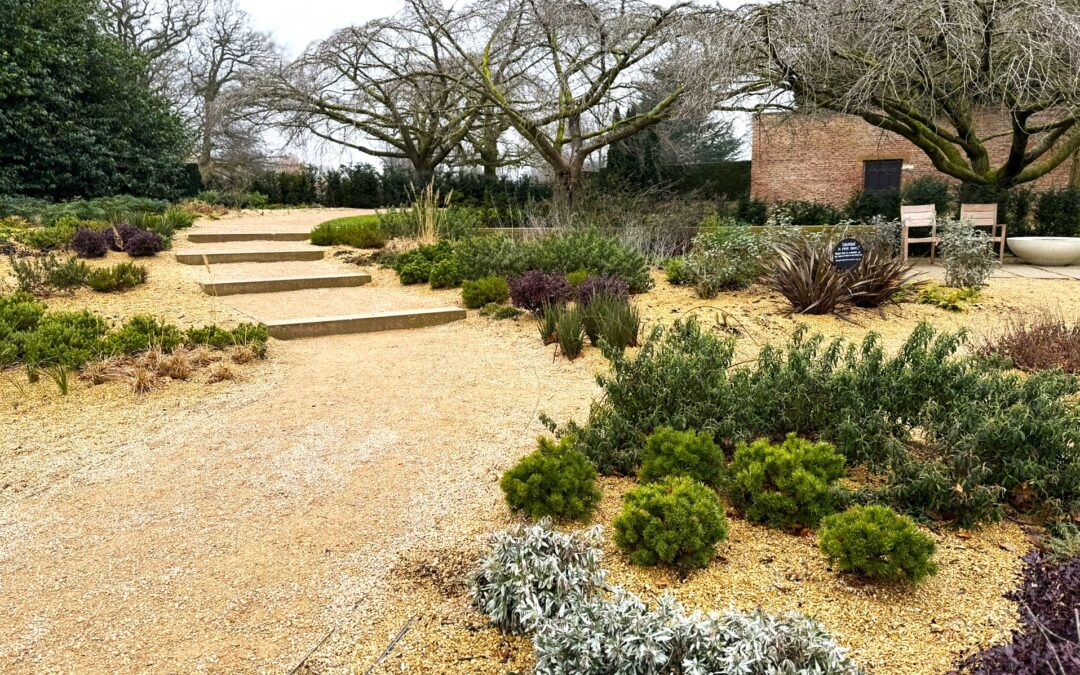 A Mediterranean Garden in Yorkshire